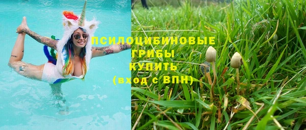 винт Бугульма