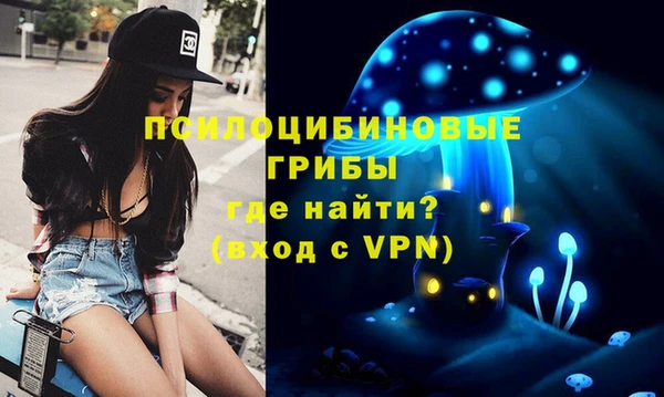 винт Бугульма