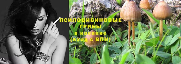 винт Бугульма